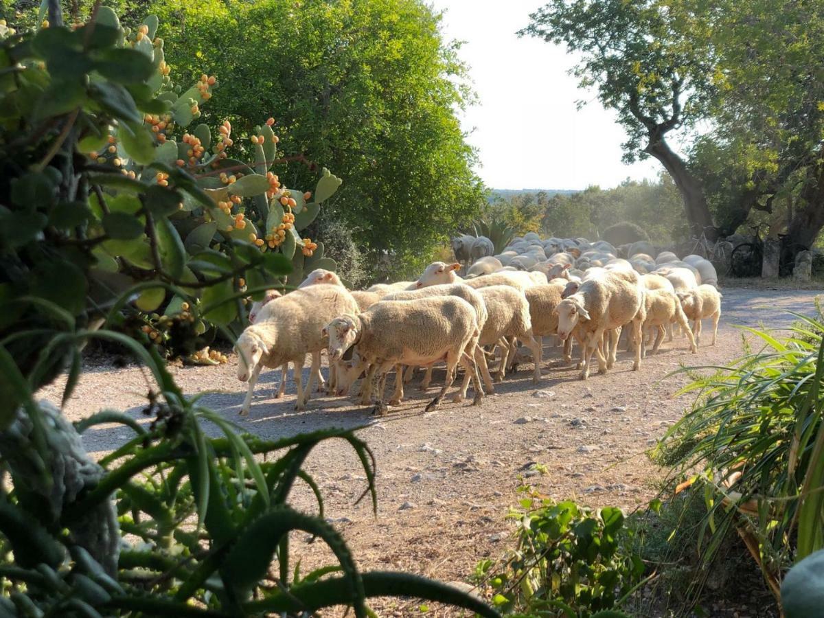 포엔샤 Agroturismo Can Guillo 빌라 외부 사진